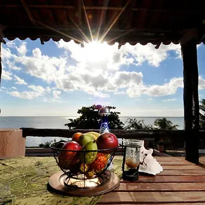 https://departamento-cenzontle.quintano-roohotels.com